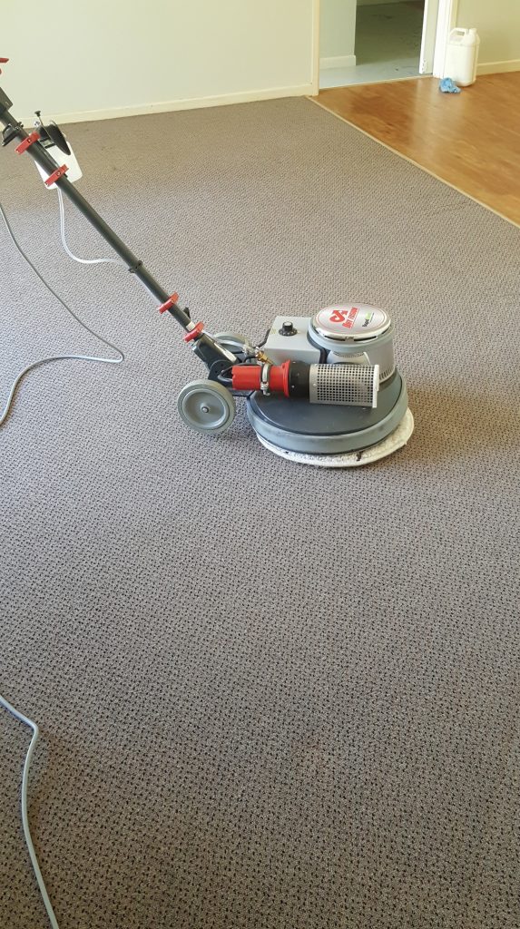 carpets cleaned after vacuuming and machine passes