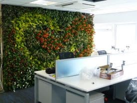 living wall of plants beside an office table