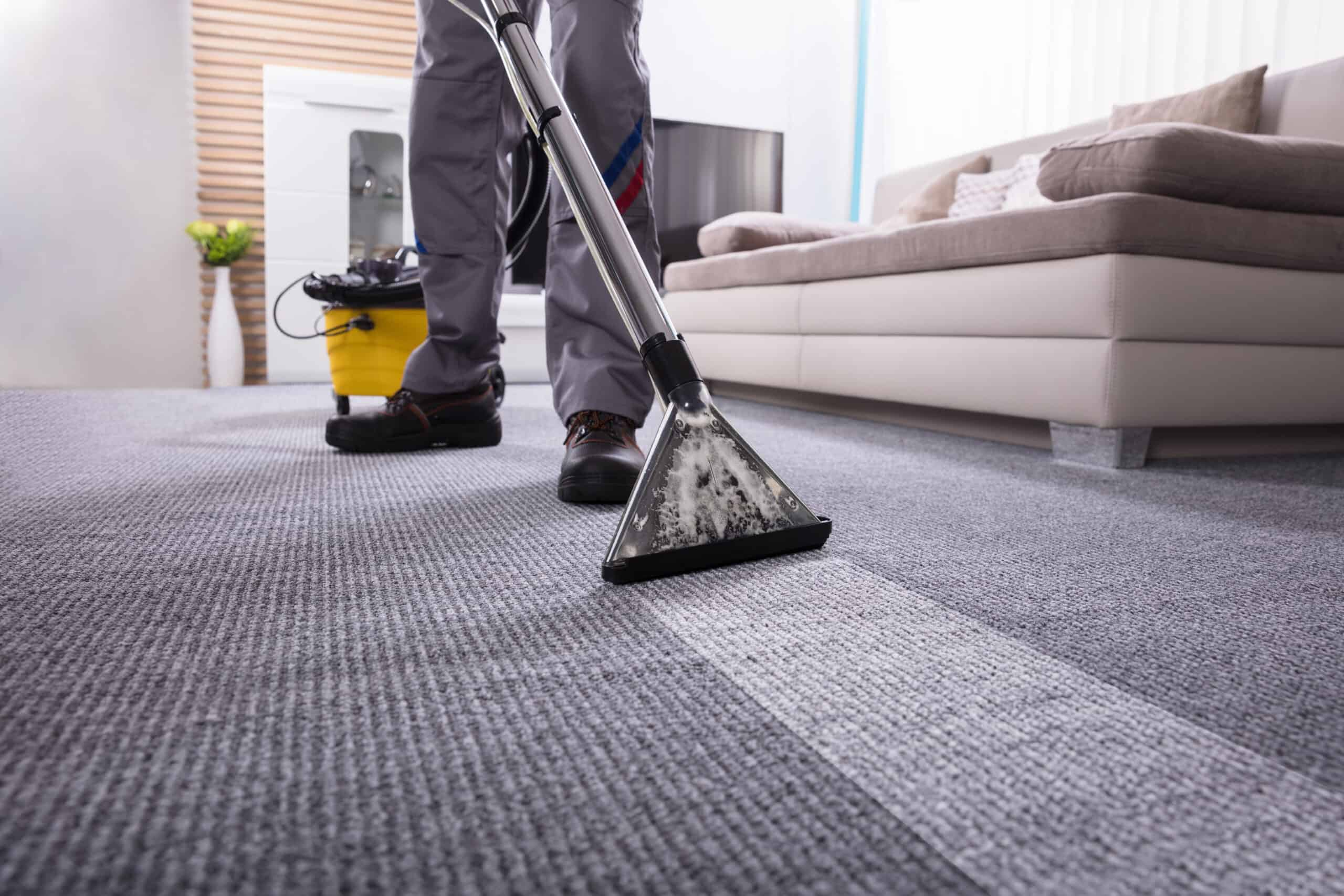 A professional cleaner doing carpet vacuum cleaning